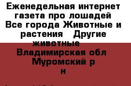 Еженедельная интернет - газета про лошадей - Все города Животные и растения » Другие животные   . Владимирская обл.,Муромский р-н